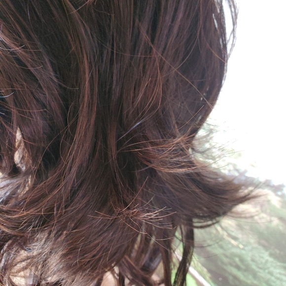 New Dark Brown With Highlights Synthetic Wig,med Length - Picture 4 of 15